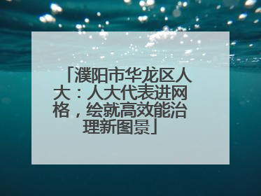 濮阳市华龙区人大：人大代表进网格，绘就高效能治理新图景
