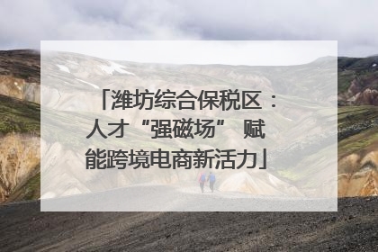 潍坊综合保税区：人才“强磁场” 赋能跨境电商新活力