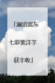 澜沧富东七彩紫洋芋获丰收