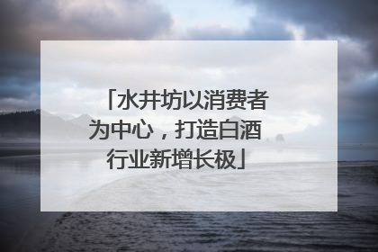 水井坊以消费者为中心，打造白酒行业新增长极