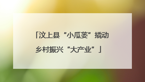 汶上县“小瓜蒌”撬动乡村振兴“大产业”