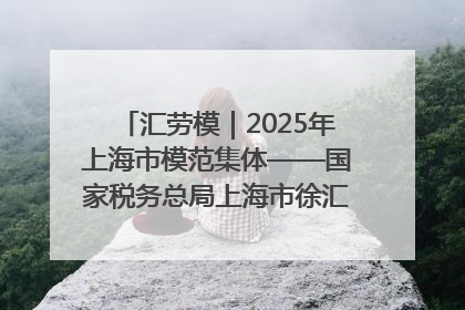 汇劳模｜2025年上海市模范集体——国家税务总局上海市徐汇区税务局第一税务所
