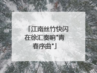 江南丝竹快闪在徐汇奏响