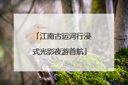 江南古运河行浸式光影夜游首航