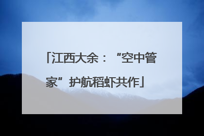 江西大余：“空中管家”护航稻虾共作
