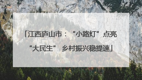 江西庐山市：“小路灯”点亮“大民生” 乡村振兴稳提速