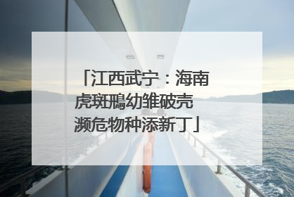 江西武宁：海南虎斑鳽幼雏破壳 濒危物种添新丁