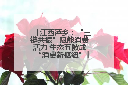 江西萍乡：“三链共振”赋能消费活力 生态五陂成“消费新枢纽”