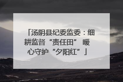 汤阴县纪委监委：细耕监督“责任田” 暖心守护“夕阳红”