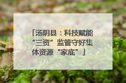 汤阴县：科技赋能“三资”监管守好集体资源“家底”