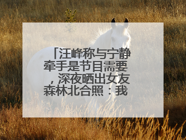 汪峰称与宁静牵手是节目需要，深夜晒出女友森林北合照：我俩好着呢！