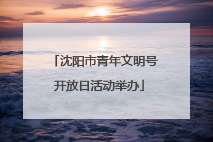 沈阳市青年文明号开放日活动举办