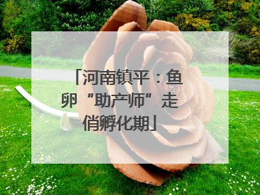 河南镇平：鱼卵“助产师”走俏孵化期