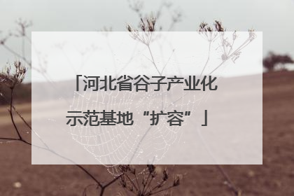 河北省谷子产业化示范基地“扩容”
