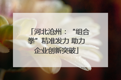 河北沧州：“组合拳”精准发力 助力企业创新突破