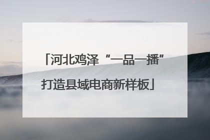 河北鸡泽“一品一播”打造县域电商新样板