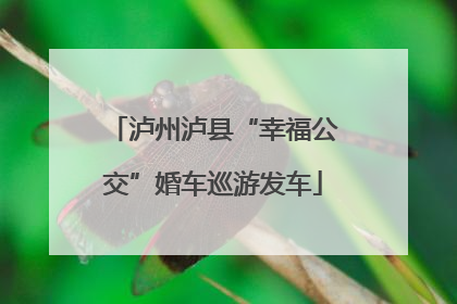 泸州泸县“幸福公交”婚车巡游发车