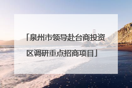 泉州市领导赴台商投资区调研重点招商项目