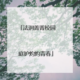 法润菁菁校园 庭护灼灼青春