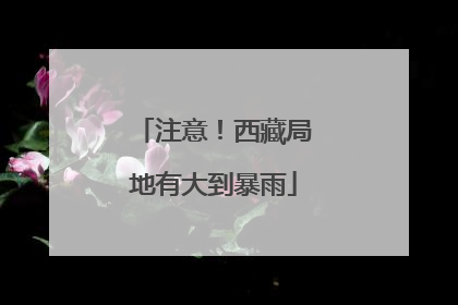 注意！西藏局地有大到暴雨