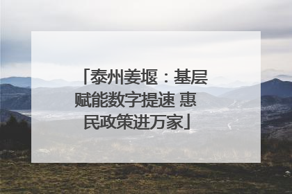 泰州姜堰：基层赋能数字提速 惠民政策进万家