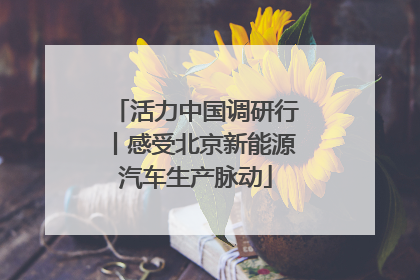 活力中国调研行丨感受北京新能源汽车生产脉动