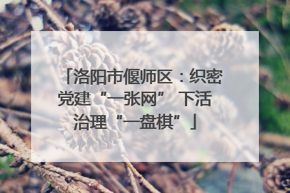 洛阳市偃师区：织密党建“一张网” 下活治理“一盘棋”