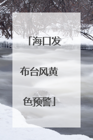 海口发布台风黄色预警
