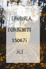 海南省人民医院被罚1506万元
