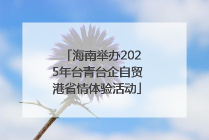 海南举办2025年台青台企自贸港省情体验活动