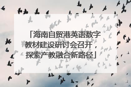 海南自贸港英语数字教材建设研讨会召开，探索产教融合新路径