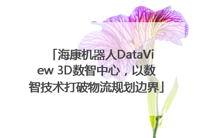 海康机器人DataView 3D数智中心，以数智技术打破物流规划边界