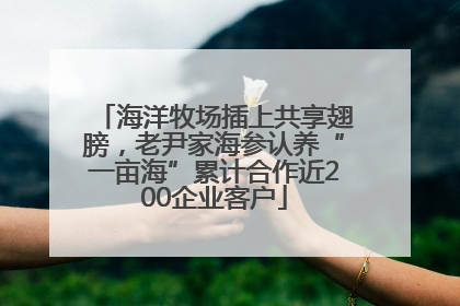 海洋牧场插上共享翅膀，老尹家海参认养“一亩海”累计合作近200企业客户