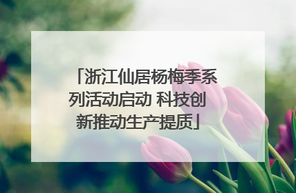浙江仙居杨梅季系列活动启动 科技创新推动生产提质