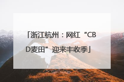 浙江杭州：网红“CBD麦田”迎来丰收季