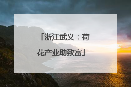 浙江武义：荷花产业助致富