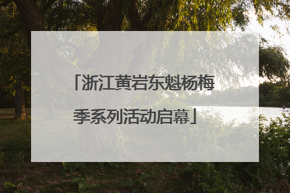 浙江黄岩东魁杨梅季系列活动启幕