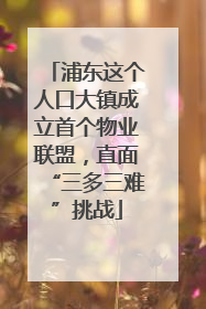 浦东这个人口大镇成立首个物业联盟，直面“三多三难”挑战