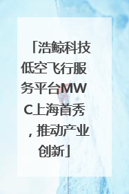浩鲸科技低空飞行服务平台MWC上海首秀，推动产业创新