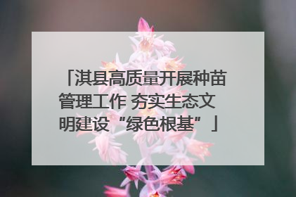 淇县高质量开展种苗管理工作 夯实生态文明建设“绿色根基”