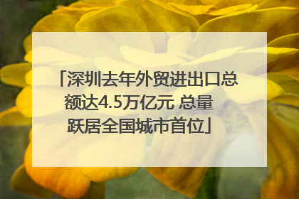 深圳去年外贸进出口总额达4.5万亿元 总量跃居全国城市首位