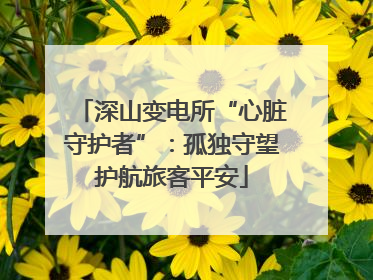 深山变电所“心脏守护者”：孤独守望护航旅客平安