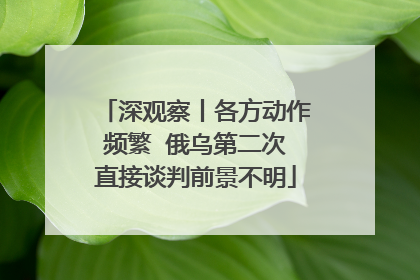 深观察丨各方动作频繁  俄乌第二次直接谈判前景不明
