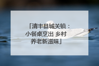 清丰县城关镇：小餐桌烹出 乡村养老新滋味