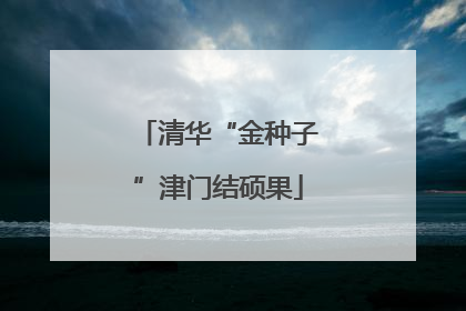 清华“金种子”津门结硕果