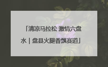 清凉马拉松 激情六盘水｜盘县火腿香飘赛道