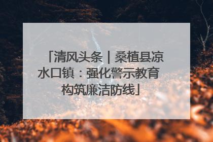 清风头条｜桑植县凉水口镇：强化警示教育 构筑廉洁防线