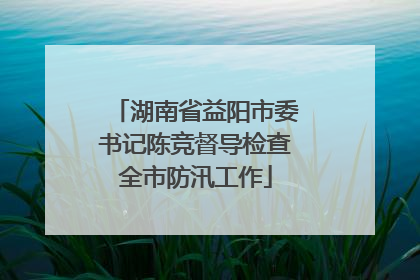 湖南省益阳市委书记陈竞督导检查全市防汛工作