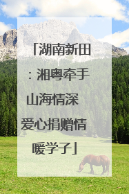 湖南新田：湘粤牵手山海情深 爱心捐赠情暖学子