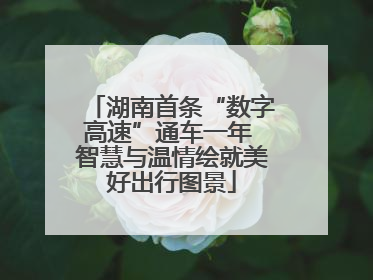 湖南首条“数字高速”通车一年 智慧与温情绘就美好出行图景